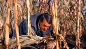 North by Northwest (1959)Cary Grant